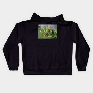 Multicolored Flower Buds 2 Kids Hoodie